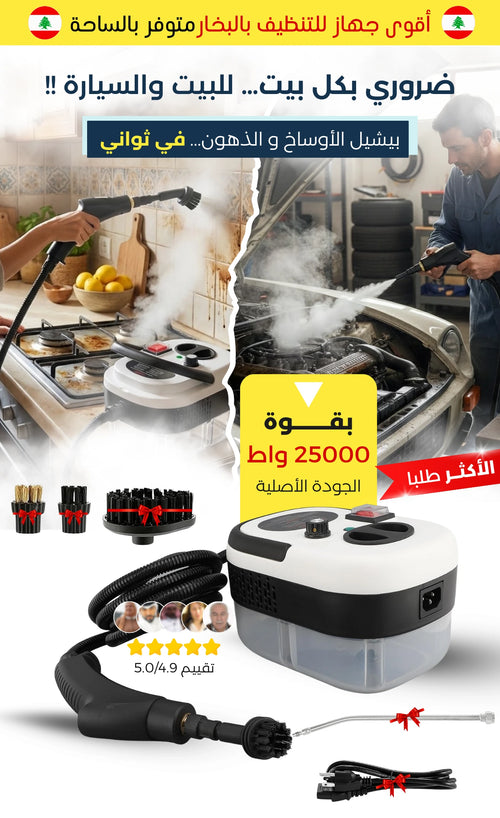 2500W HIGH PRESSURE STEAM CLEANER
